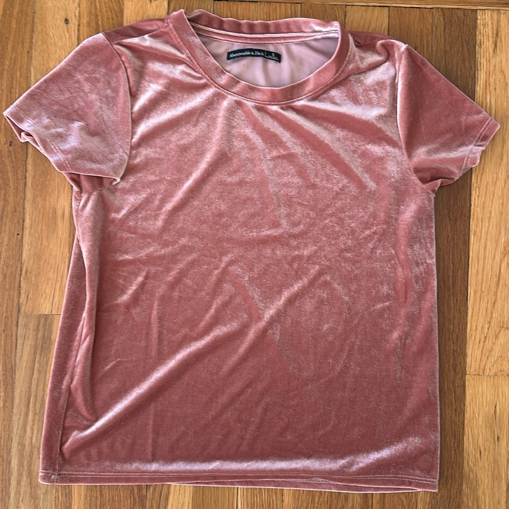 Abercrombie and Fitch velvet tee S